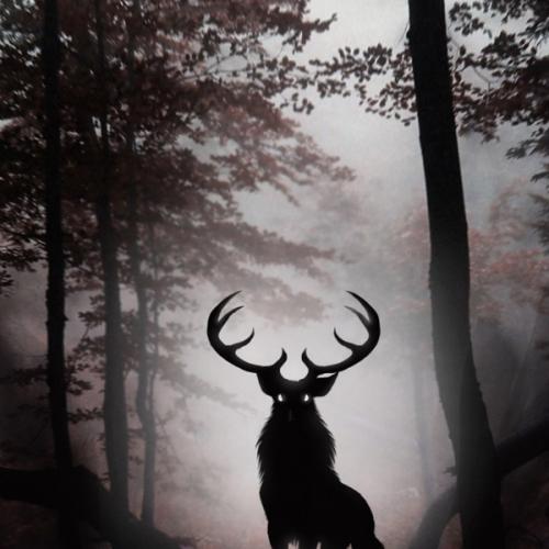 สมาชิกหมายเลข 4242201