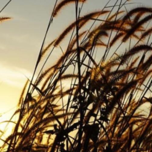 สมาชิกหมายเลข 1753488