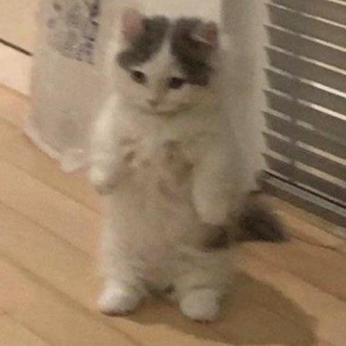 สมาชิกหมายเลข 6731860