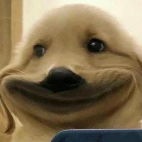 สมาชิกหมายเลข 7471255