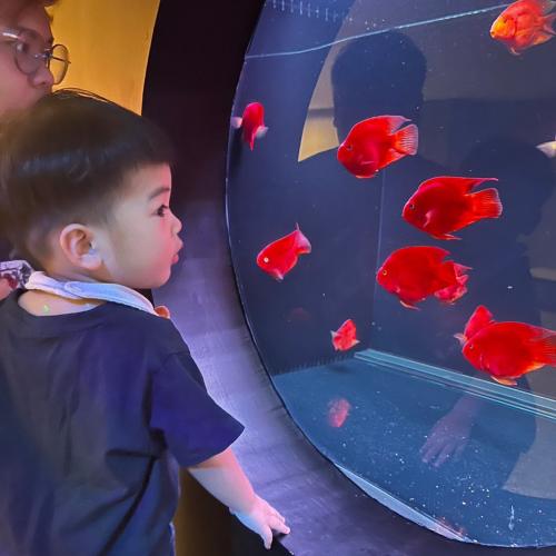 สมาชิกหมายเลข 7494733