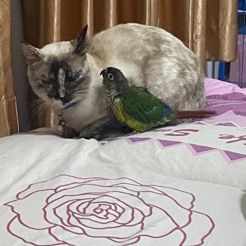 สมาชิกหมายเลข 8384281