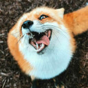 สมาชิกหมายเลข 4775349