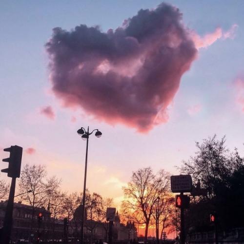 สมาชิกหมายเลข 3120353