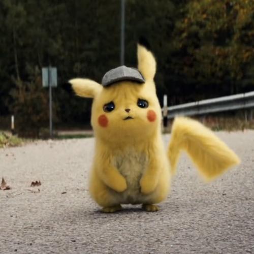 สมาชิกหมายเลข 3565573