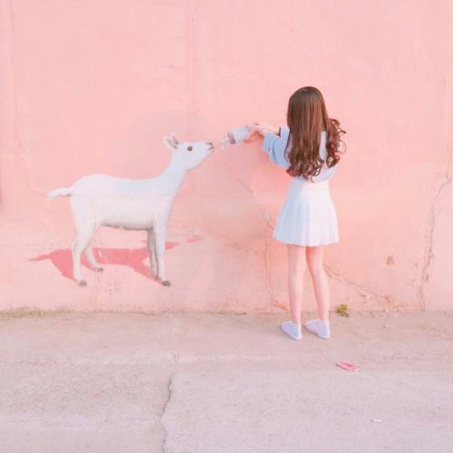 สมาชิกหมายเลข 5049770