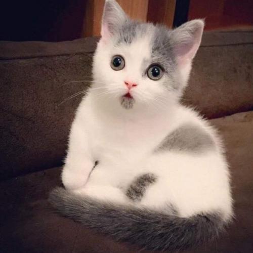 สมาชิกหมายเลข 6105174