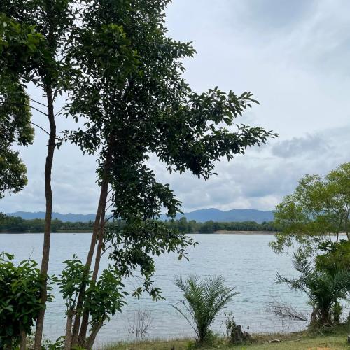 สมาชิกหมายเลข 4653193