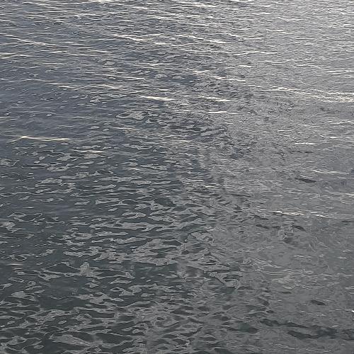 สมาชิกหมายเลข 6668381