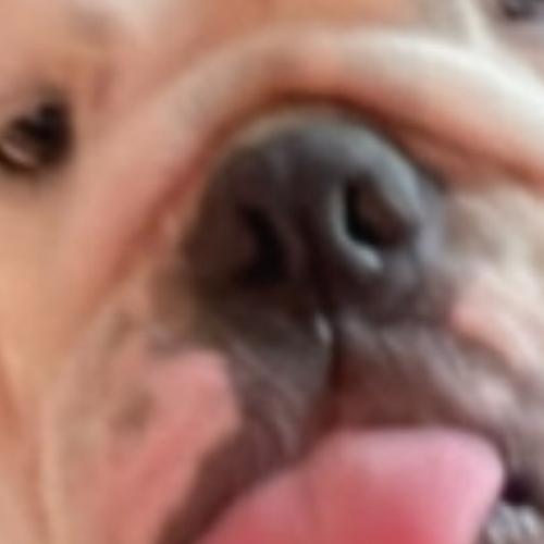 สมาชิกหมายเลข 772655