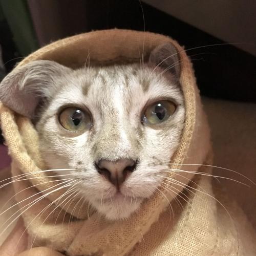 สมาชิกหมายเลข 4430031