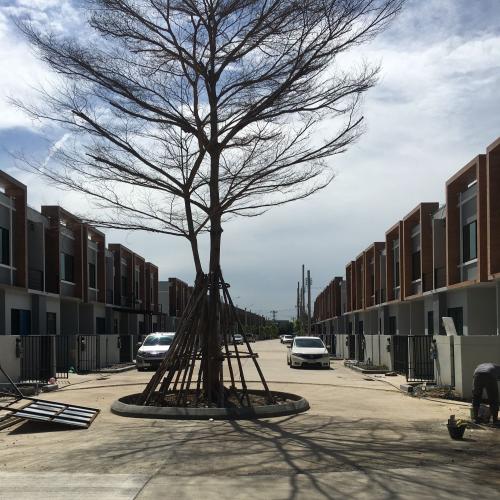 สมาชิกหมายเลข 4775306