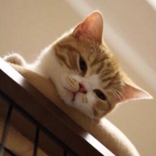 สมาชิกหมายเลข 5152297