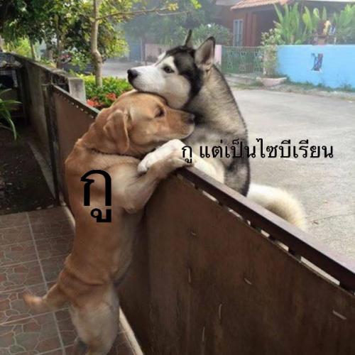 สมาชิกหมายเลข 3855550