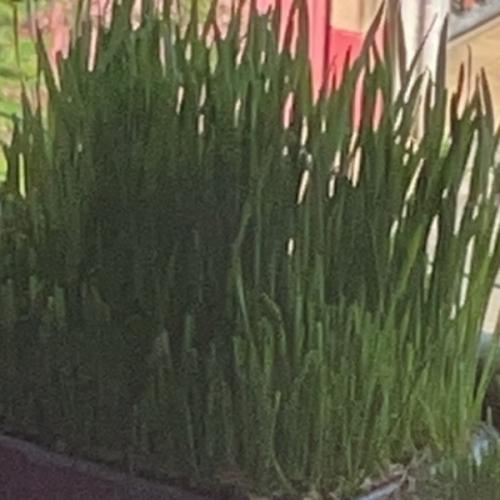 สมาชิกหมายเลข 4561163