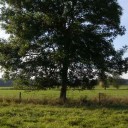 สมาชิกหมายเลข 2426517