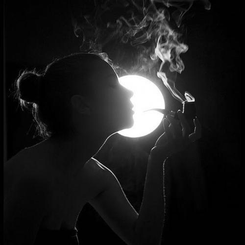 สมาชิกหมายเลข 3880283