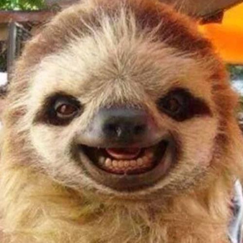 สมาชิกหมายเลข 4123375