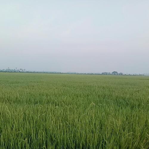 สมาชิกหมายเลข 4822351