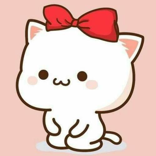 สมาชิกหมายเลข 5087978