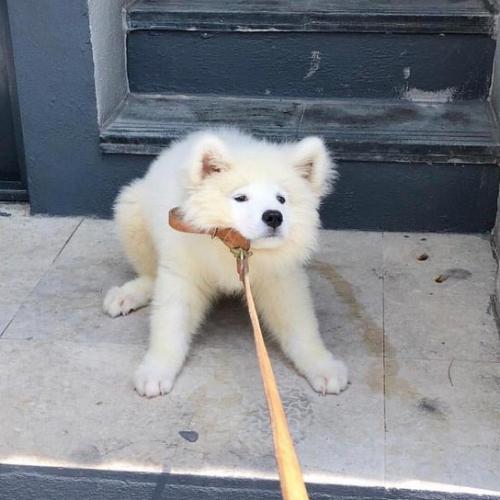 สมาชิกหมายเลข 5148519