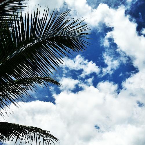 สมาชิกหมายเลข 5152318