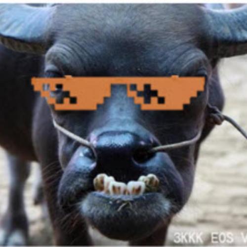 สมาชิกหมายเลข 4452456