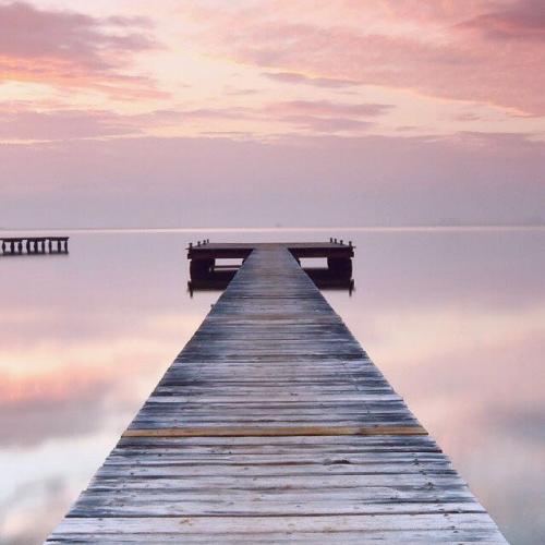 สมาชิกหมายเลข 4410767