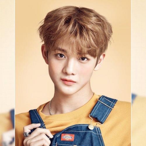 สมาชิกหมายเลข 4488873