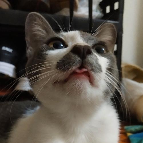 สมาชิกหมายเลข 1979527