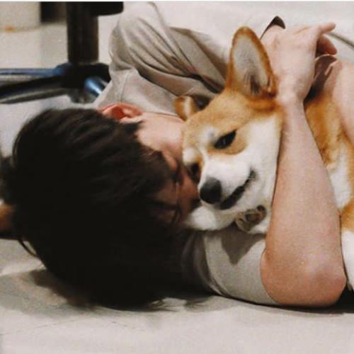 สมาชิกหมายเลข 5185396