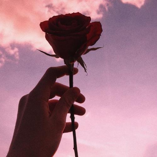 สมาชิกหมายเลข 5425633