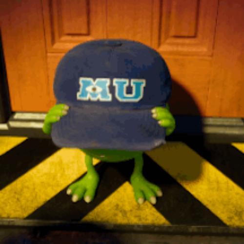 สมาชิกหมายเลข 5555197