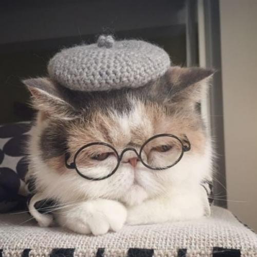 สมาชิกหมายเลข 4027639