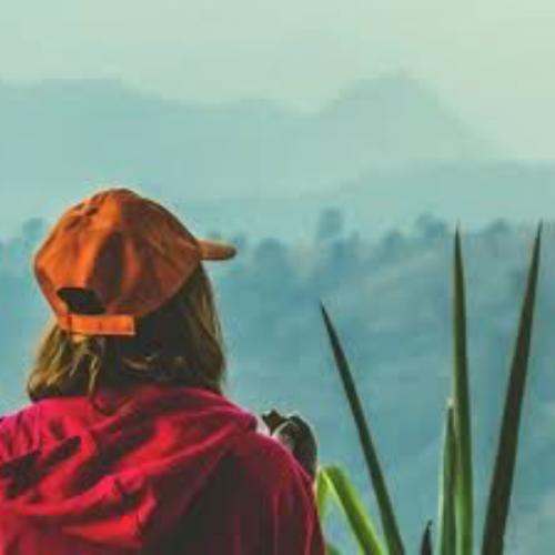 สมาชิกหมายเลข 6110657