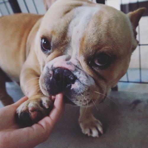 สมาชิกหมายเลข 4659292