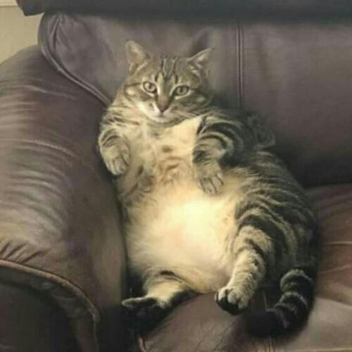 สมาชิกหมายเลข 4106712