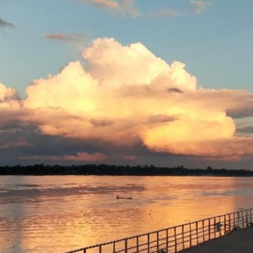 สมาชิกหมายเลข 5219815