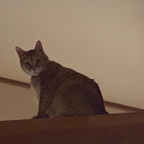 สมาชิกหมายเลข 6111718