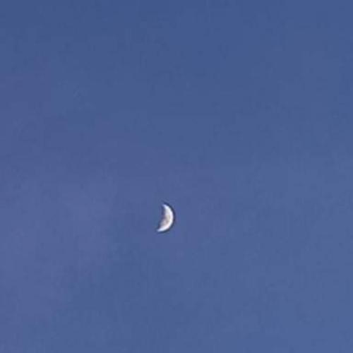 สมาชิกหมายเลข 7052777