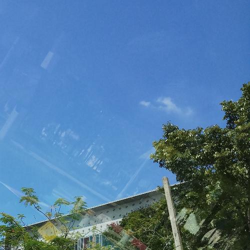 สมาชิกหมายเลข 4776994