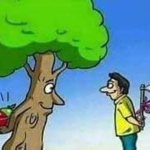 สมาชิกหมายเลข 3460273