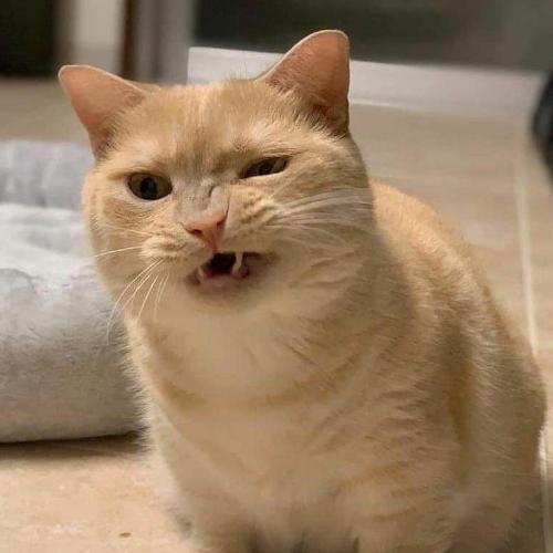 สมาชิกหมายเลข 5150300