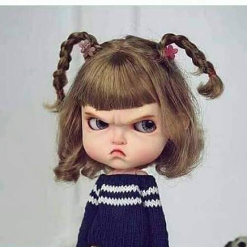 สมาชิกหมายเลข 5154212