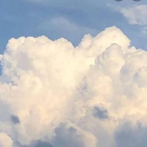 สมาชิกหมายเลข 5774679