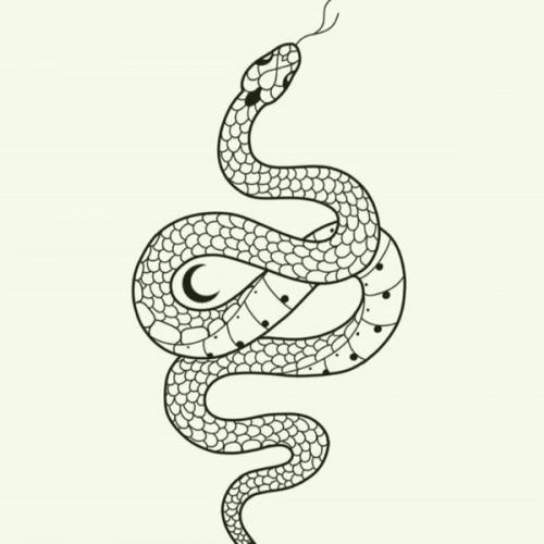 สมาชิกหมายเลข 6111403