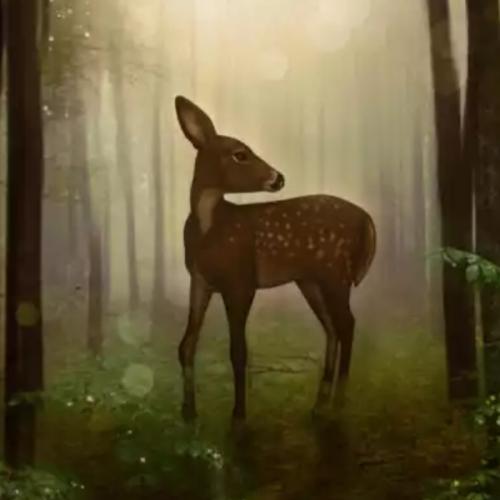 สมาชิกหมายเลข 6112084