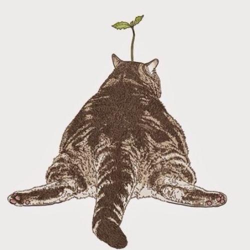 สมาชิกหมายเลข 5902020