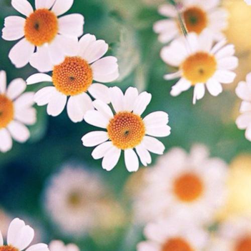 สมาชิกหมายเลข 6429641