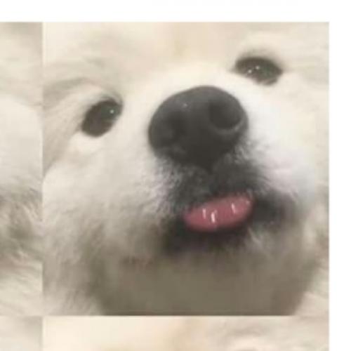 สมาชิกหมายเลข 8402948